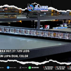 Barra DOT 31" spot and flood Pz